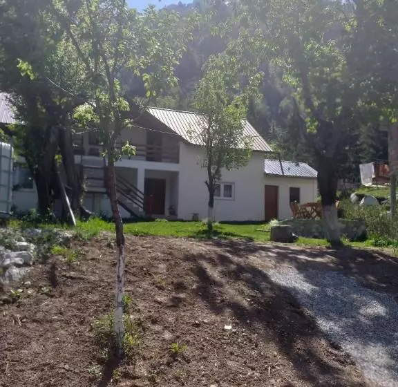 Aamiaismajoitus (B&B) Bujtina Arlindi