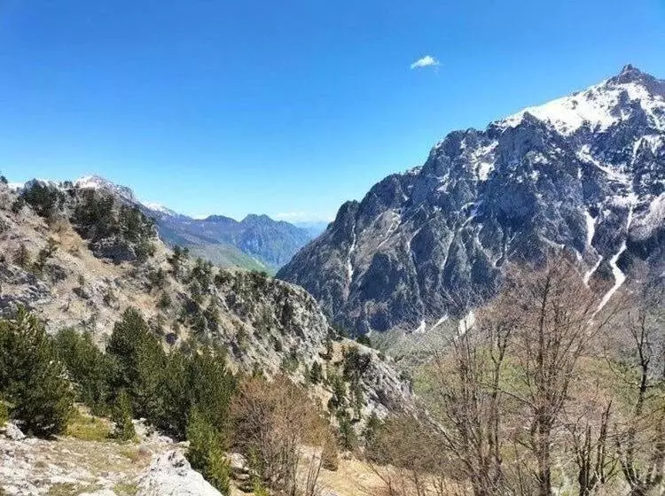 Aamiaismajoitus (B&B) Bujtina Arlindi