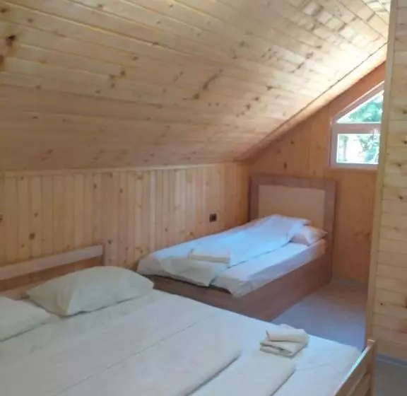 Aamiaismajoitus (B&B) Bujtina Arlindi