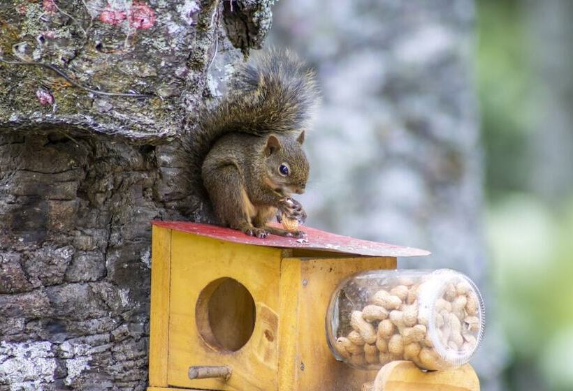 ホテル Green Village