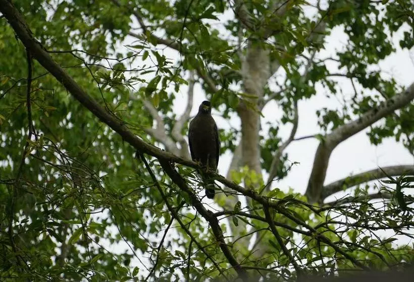 هتل Kurulu Garden Ayurveda