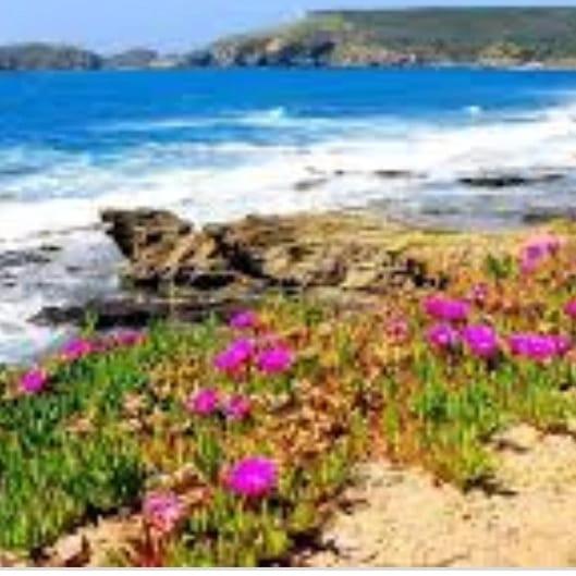 Hotelli Turismo Rurale Pertunghe