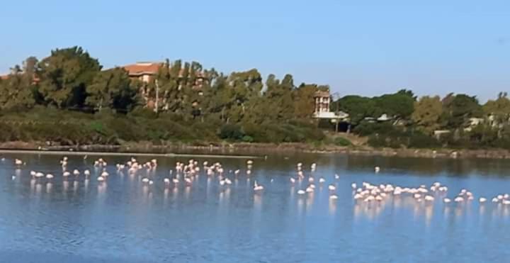 Hotelli Turismo Rurale Pertunghe