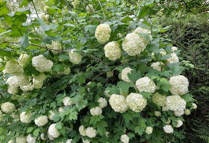 پانسیون A L Orée Du Cèdre