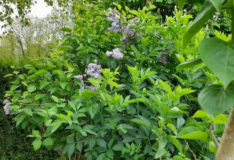 پانسیون A L Orée Du Cèdre