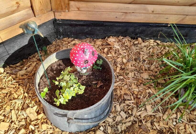 پانسیون A L Orée Du Cèdre