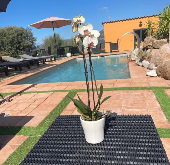 مبيت وإفطار A Casa Di Jo