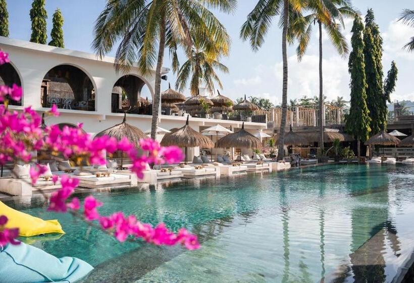 ホテル El Tropico Boutique