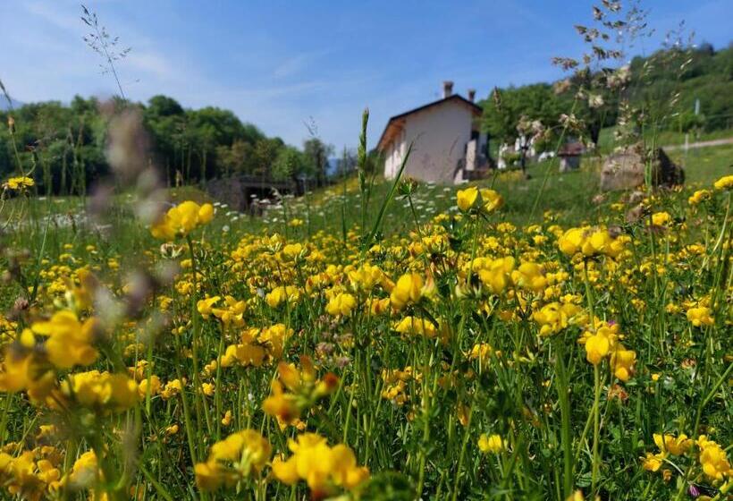 בית מלון כפרי La Casa Di Maia Alloggio Agrituristico