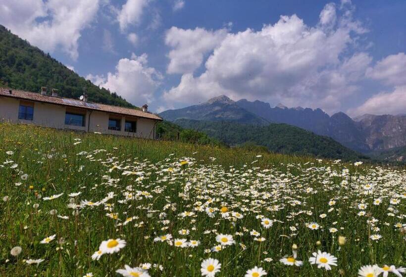 בית מלון כפרי La Casa Di Maia Alloggio Agrituristico