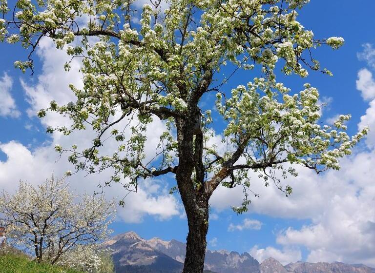 בית מלון כפרי La Casa Di Maia Alloggio Agrituristico