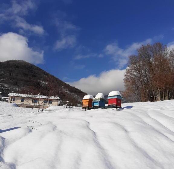 בית מלון כפרי La Casa Di Maia Alloggio Agrituristico