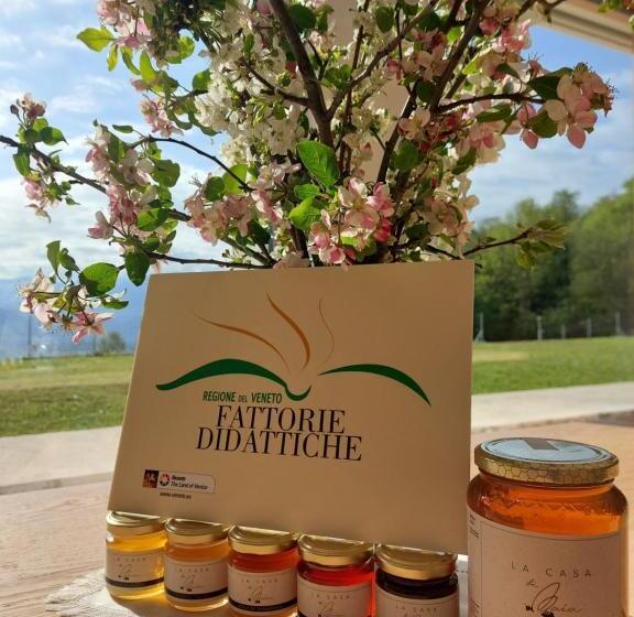 בית מלון כפרי La Casa Di Maia Alloggio Agrituristico