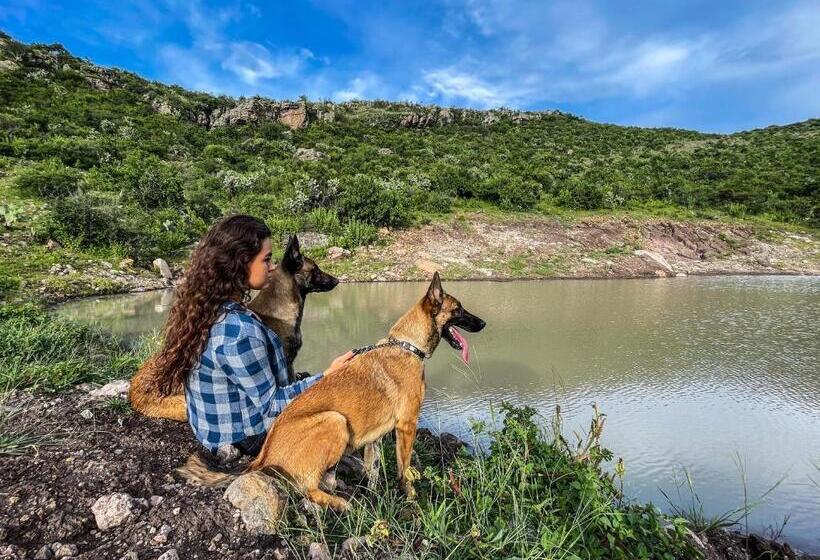 هتل Lavanda Aldea Holística