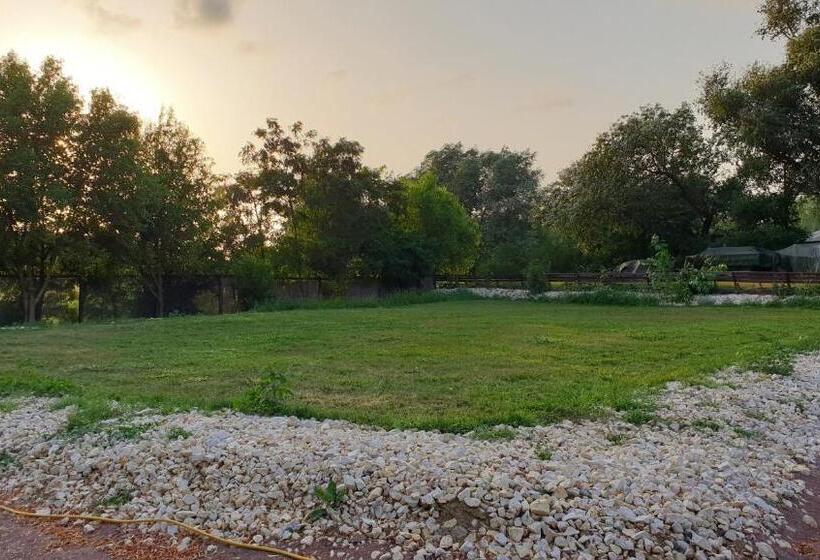 Отель Restaurant Plutitor Delta Ways