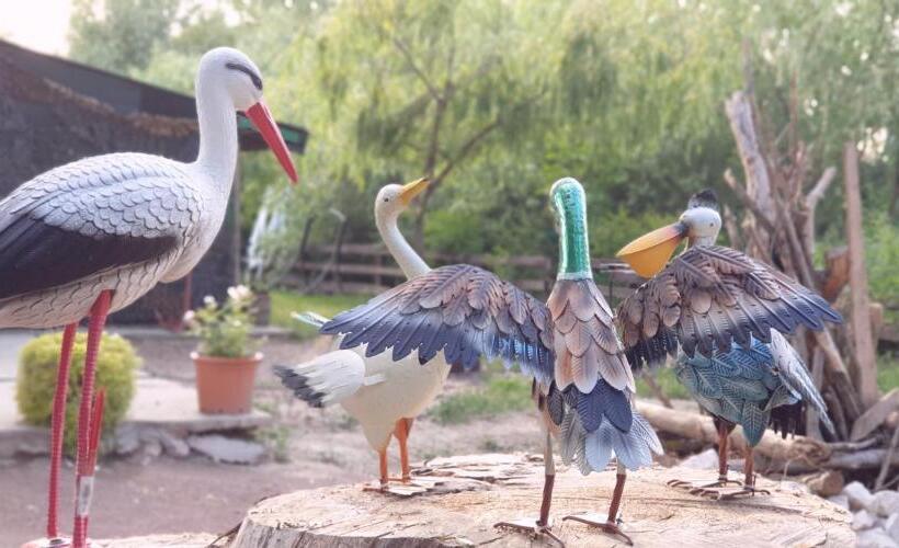 Отель Restaurant Plutitor Delta Ways