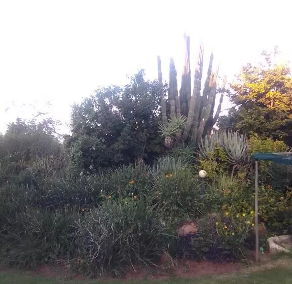 Majatalo Garden Palace Guesthouse