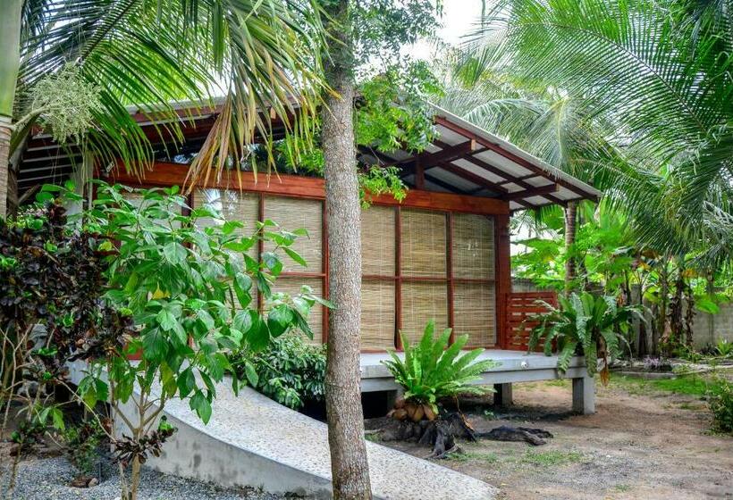 Bed and Breakfast Grootii