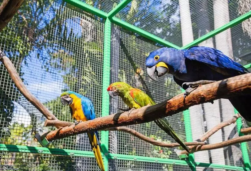 호텔 Ashmore Palms Holiday Village