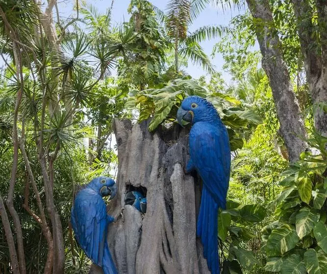 호텔 Ashmore Palms Holiday Village