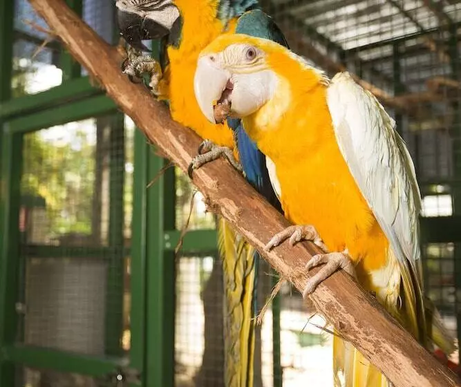 호텔 Ashmore Palms Holiday Village