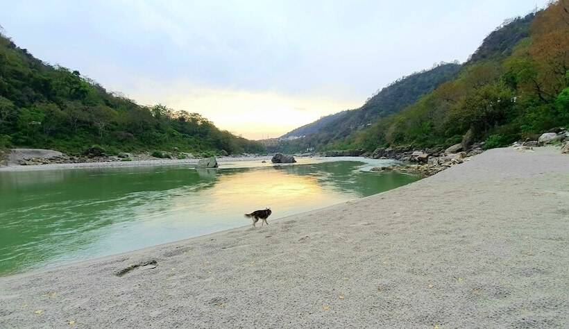 Hotell Divine Ganga Cottage