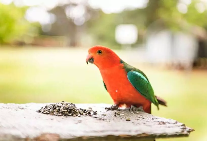 Hotel Federation Gardens & Possums Hideaway