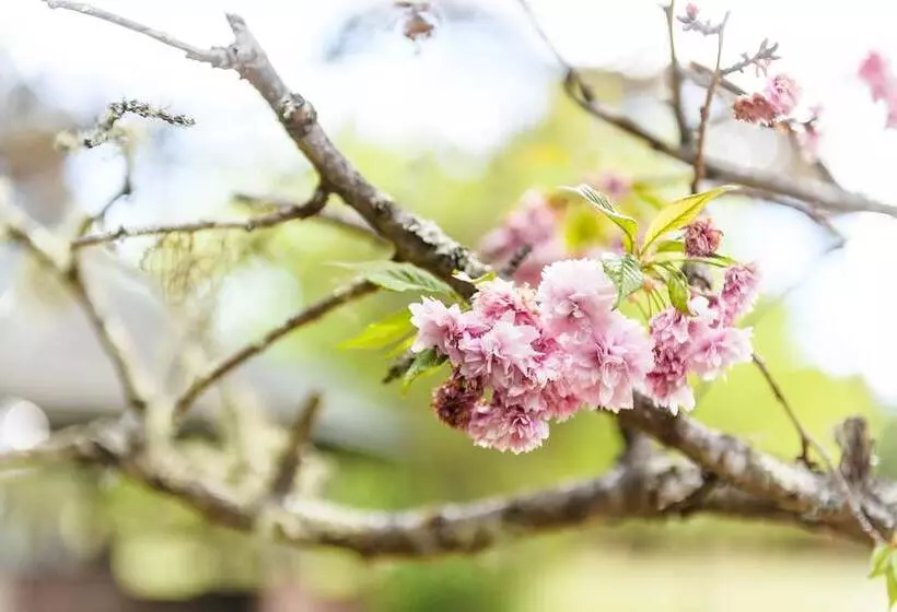 Hotel Federation Gardens & Possums Hideaway