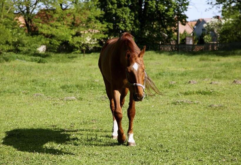 בית מלון כפרי Palace Popowo Stare