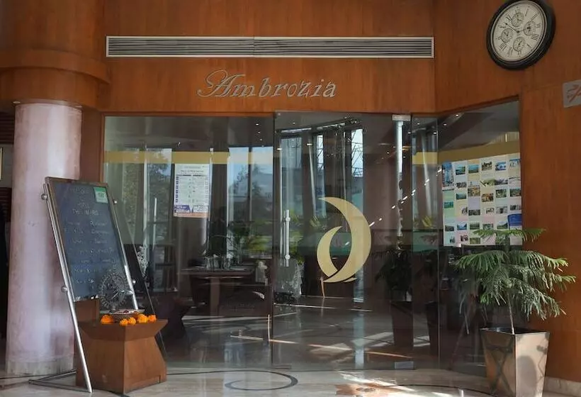 Отель The Amaris