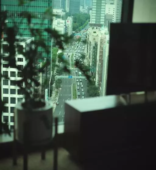 酒店 The Aoyama Grand