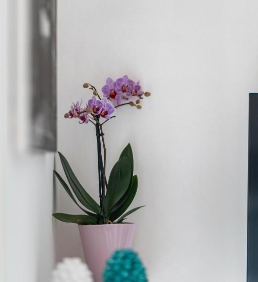 Bed and Breakfast I Balconi Di Porta Mazara