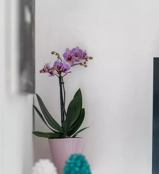 Aamiaismajoitus (B&B) I Balconi Di Porta Mazara