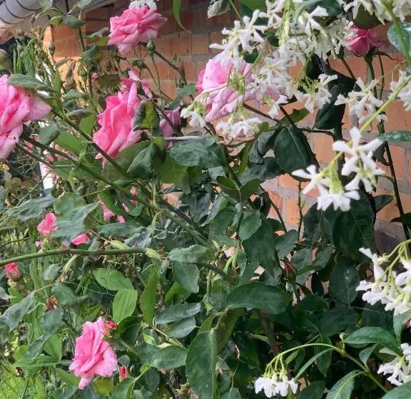 Aamiaismajoitus (B&B) Les Garçonnières De Sologne