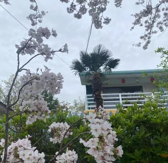 旅館 Hanamizuki Onsen Resort