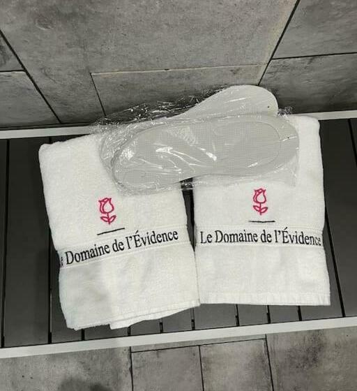 Nocleg ze śniadaniem Chambre Privatif Spa