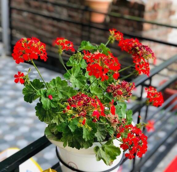 ペンション Paradise Inn By Hbr