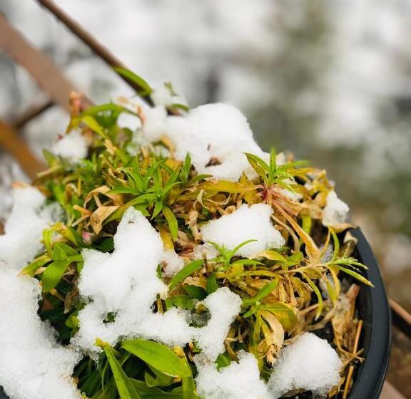 ペンション Paradise Inn By Hbr