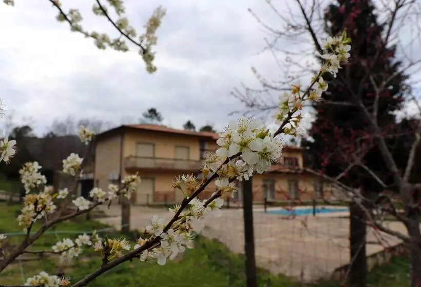 Aamiaismajoitus (B&B) Outeiro Do Moinho