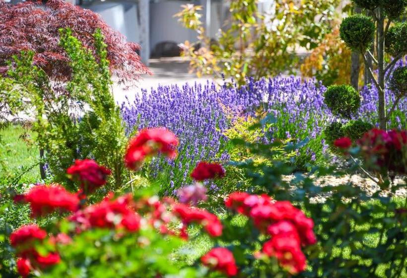 Hotel Ibis Styles Venus