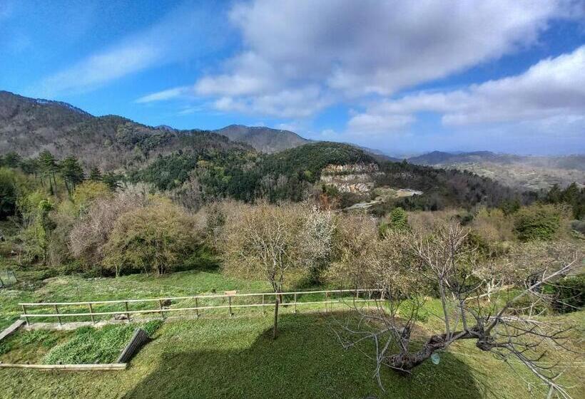 פנסיון Affittacamere Le Ciboline