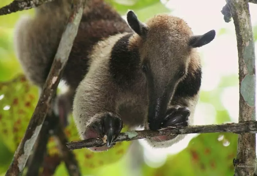 Crocodile Bay Resort