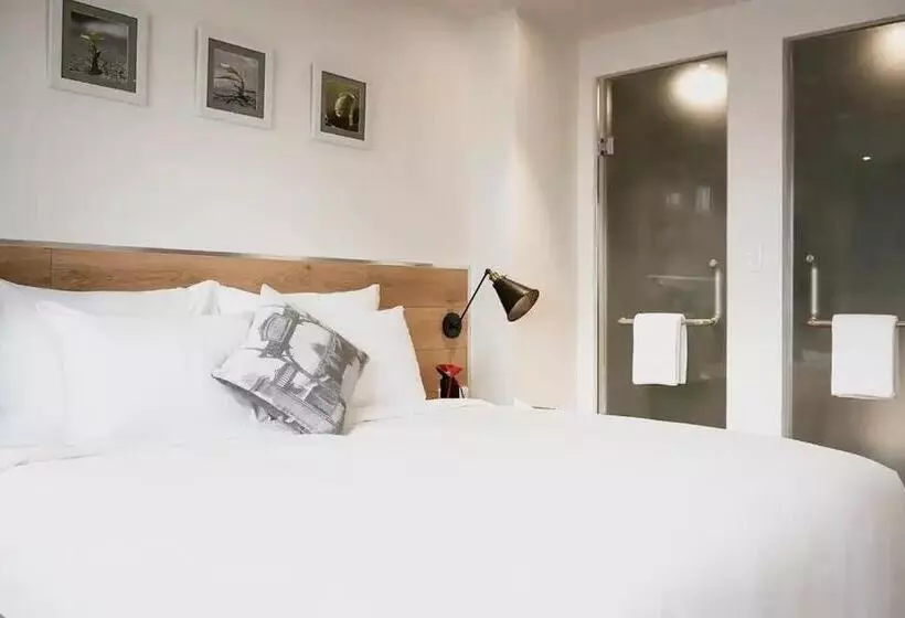 C Central Hotel đề Thám Bùi Viện Walking Street