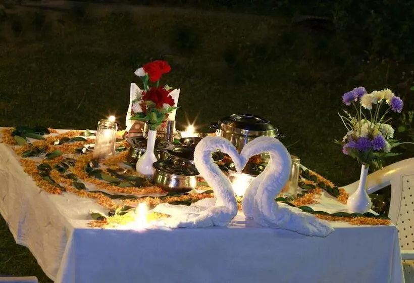 Hotel Pride De Vivendi Resort Manali