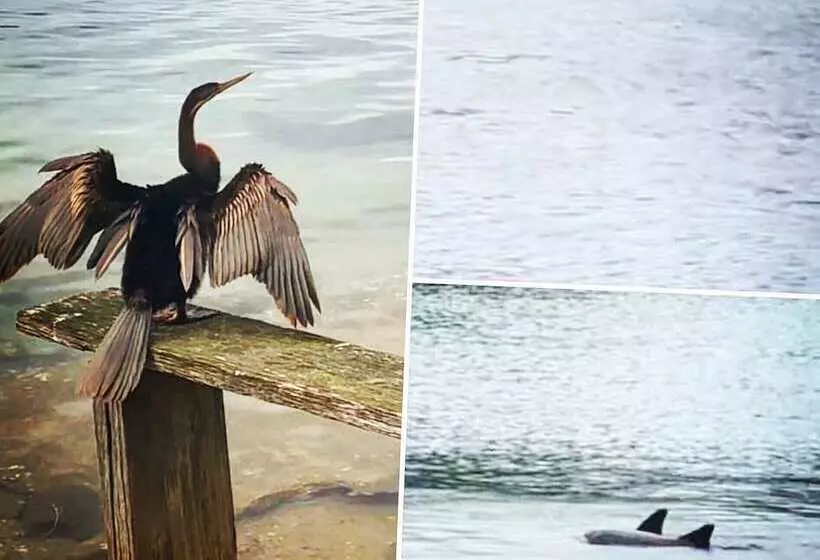 ホテル Marcel Towers Holiday Apartments