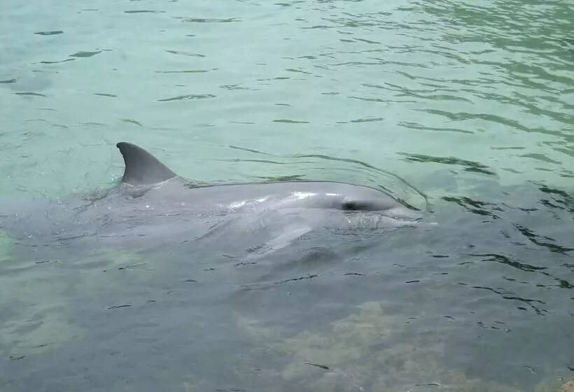 ホテル Marcel Towers Holiday Apartments