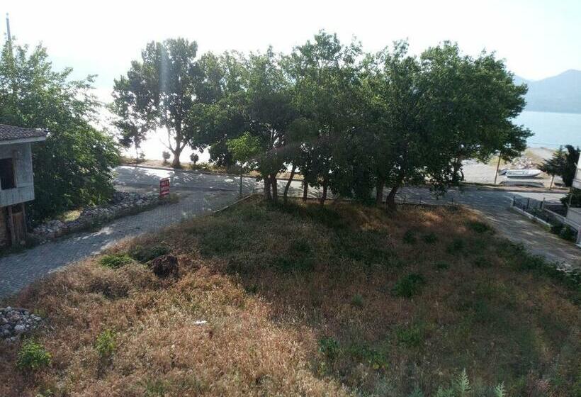 住宿加早餐 Ali S Pension