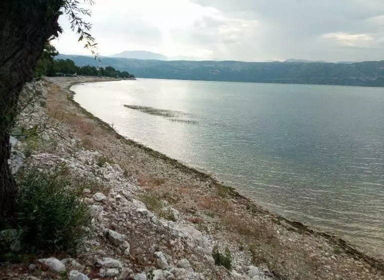 ベッドアンドブレックファースト Ali S Pension