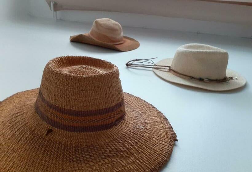 پانسیون Alfred  S Home