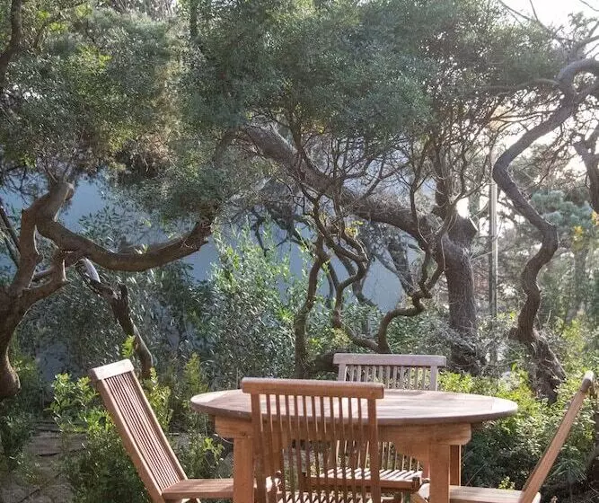 ホテル Mariva Dune Suites